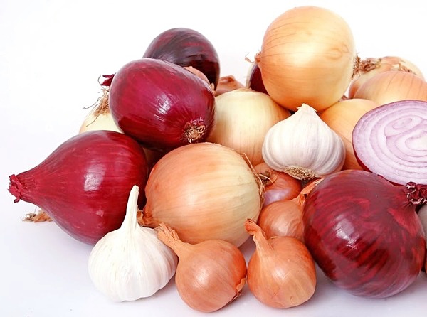 Garlic And Onion Oil For Hair Growth Your Beauty Pantry