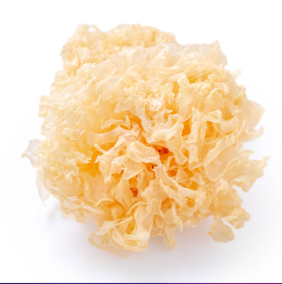 The Nature’s Sponge: Why Snow Mushroom is the New Gold Standard for Deep Hydration